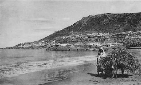 Fondée par les Portugais vers 1500, Agadir est prise en 1541 par les Saadiens et devient, sous la dynastie chérifienne, une ville prospère grâce aux exportations de sucre de canne.......