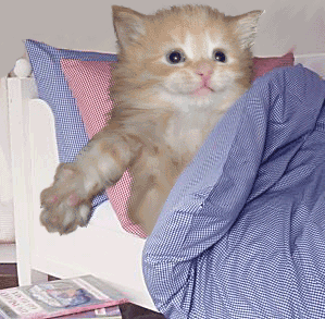 3mrkom chfto mcha m3a sba7 katksl iwa hahiyyyyyyyyya