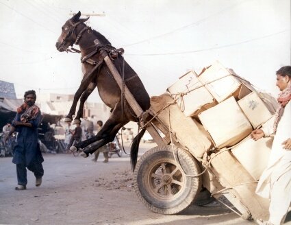 al7imaro taair