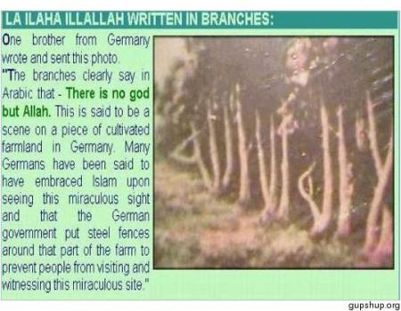 la illaha illa allah